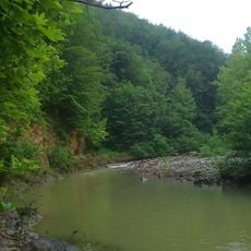 Küre-Dağları-Nationalpark