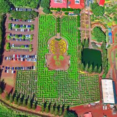 Pineapple Garden Maze
