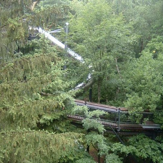 Rezerwat Biosfery Wogezów Północnych i Lasu Palatynackiego