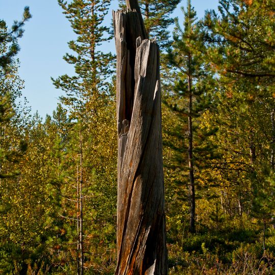 Parco nazionale Øvre Pasvik