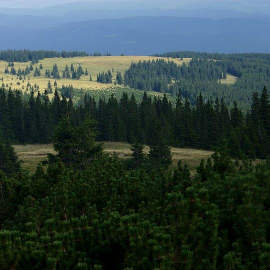 Jnepenișul cu Pinus cembra - Călimani