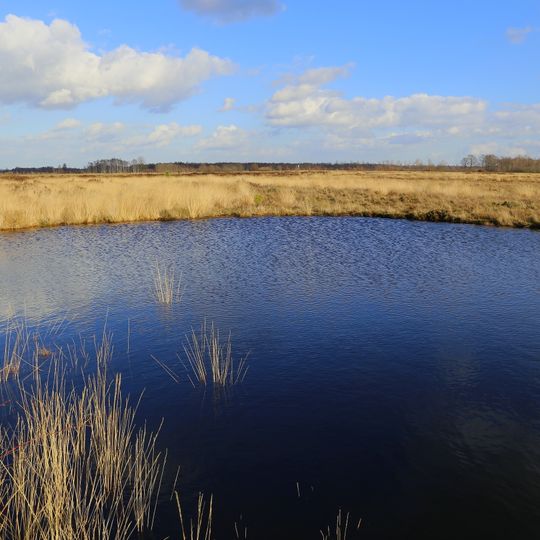 Mettinger und Recker Moor