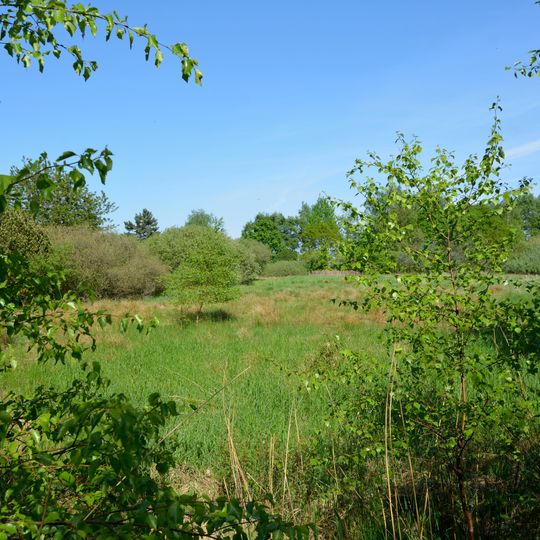 Südermoor bei Schwienhusen