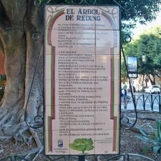 El Árbol de Reding