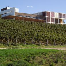 Cantina di Collemassari