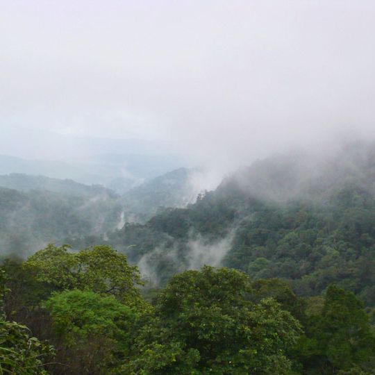 Brahmagiri Wildlife Sanctuary