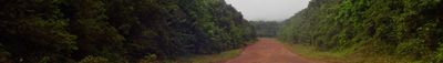 Panoramic View 1