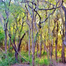 Santa Ana National Wildlife Refuge
