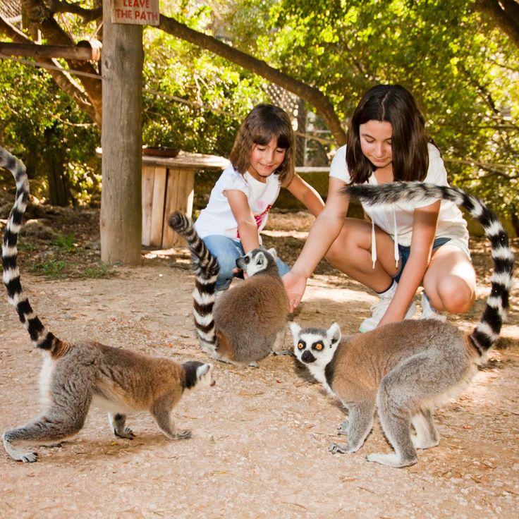 Centro tutela animali