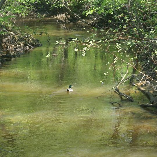 Saint-Louis-de-France