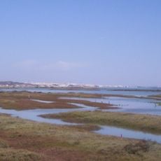 Marismas de Sancti Petri