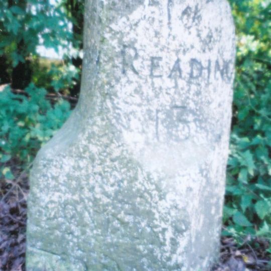 Milestone At Su5327 6721