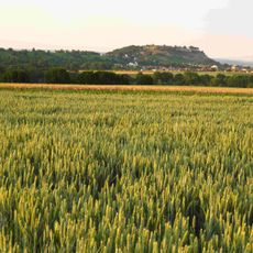 Hohenasperg-Hurst und weitere Umgebung