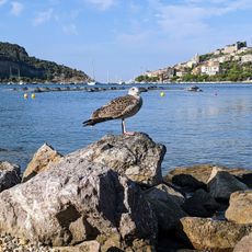 Spiaggia liberale delle Torezze