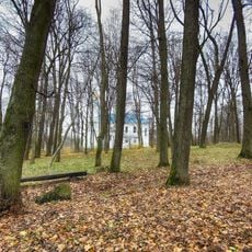 Slizień Manor in Voĺna