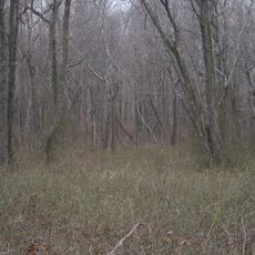 Pigeon Swamp State Park