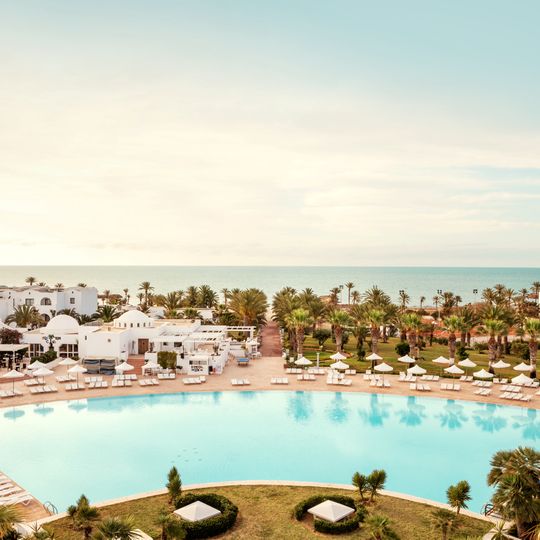 Palm Azur