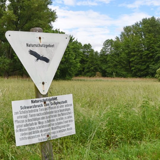 Schwarzbruch von Seligenstadt