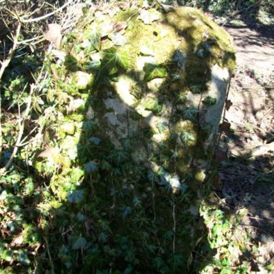 Milestone, Roundway Down, E of barn