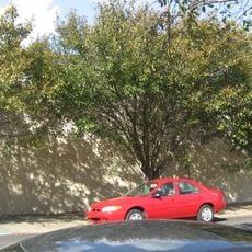 College Street Presbyterian Church