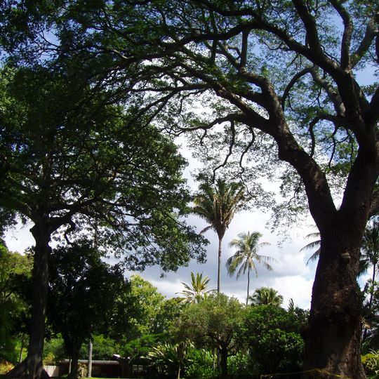 Foster Botanical Garden