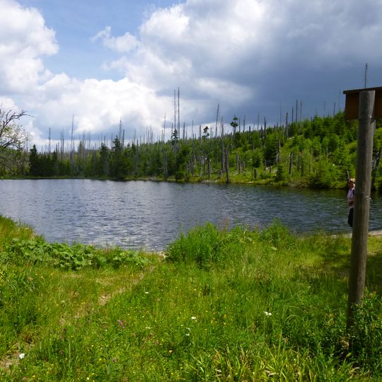 Reschbachtrift, Bestandteil des Wolfsteiner Triftkomplexes