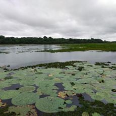 Kanjia lake