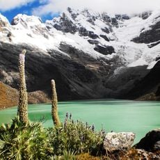 Allicocha