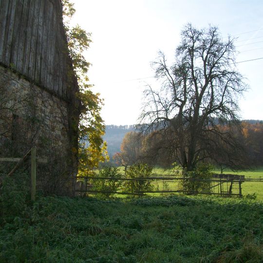 Linde mit Birnbaum im Friedrichstal