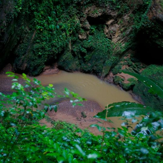 Parco delle grotte del Río Camuy