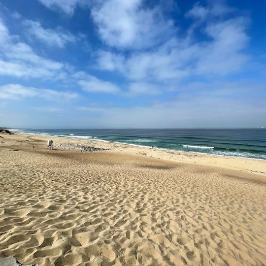 Marina State Beach