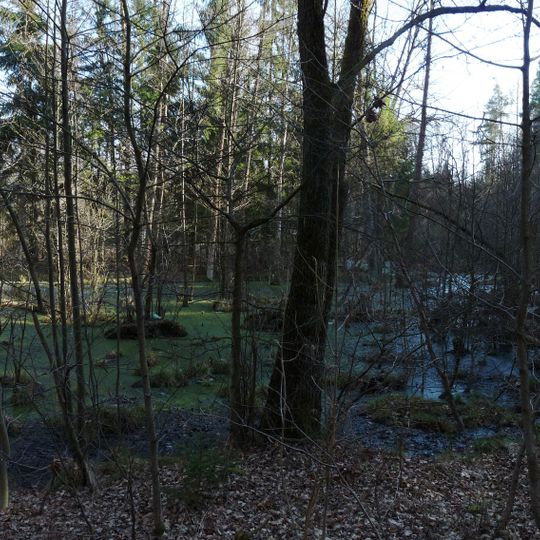 Branišovský les