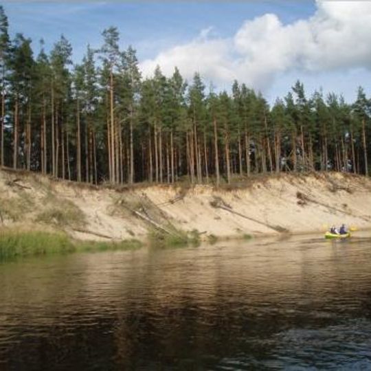 Ances purvi un meži