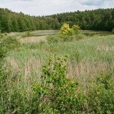 Rezerwat przyrody Jezioro Orłowo Małe