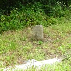 Milestone, Ashburton Road, 100m W of Clay Lane jct, by pull-in for gates on drive to a garage, E of Puddavine Cottage