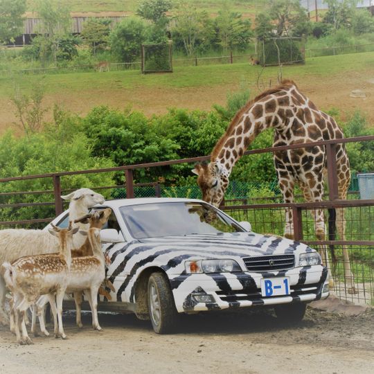 Tohoku Safari Park
