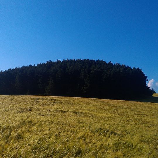 Hrushvytskyi Nature Reserve