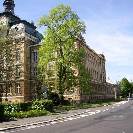 Liliovníky ve Varnsdorfu