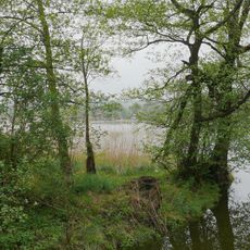 Binsenbrink im Teterower See