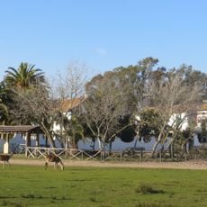 Palacio de las Marismillas