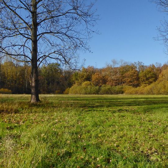 Holzwiese-Bockmerholz