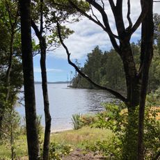 Picnic Point Track