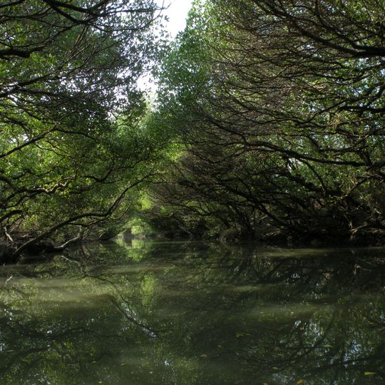 Taijiang National Park