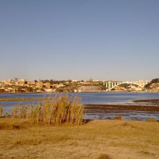 Local Natural Reserve of Douro Estuary