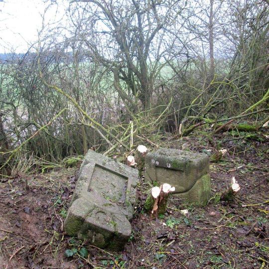 Kříž severně od Ostrova u Bezdružic v remízku