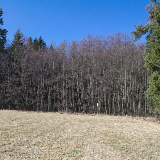 Olšina u Volfířova