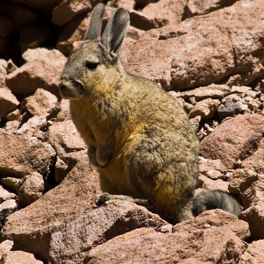 Serranía El Peralito