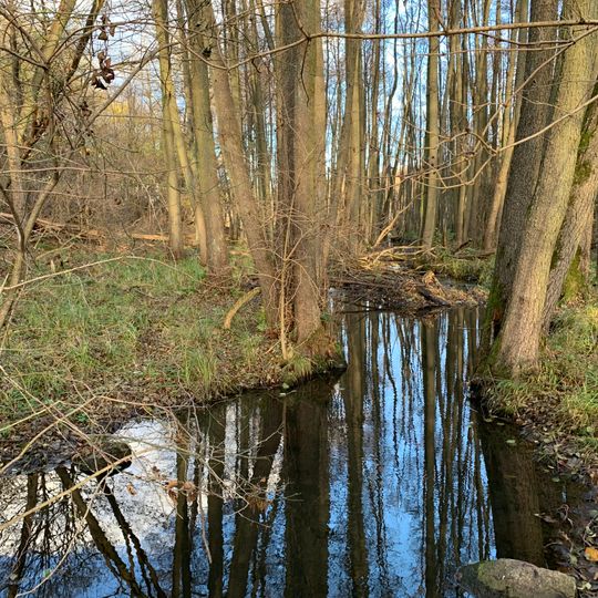 Klobichseer Mühlenfließ