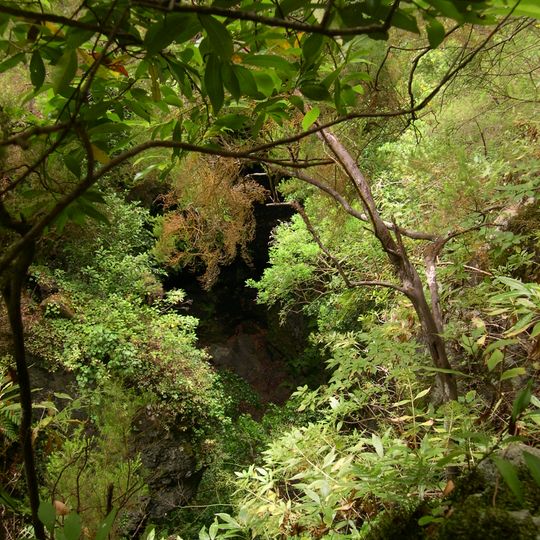 Parc naturel de Las Nieves