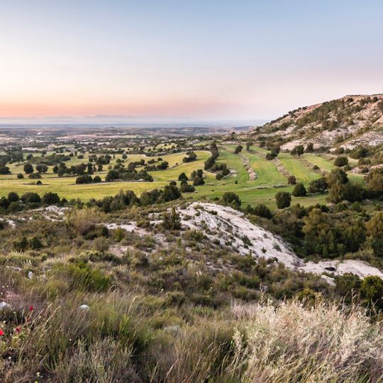 Castejón de Monegros